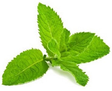 bg-banner